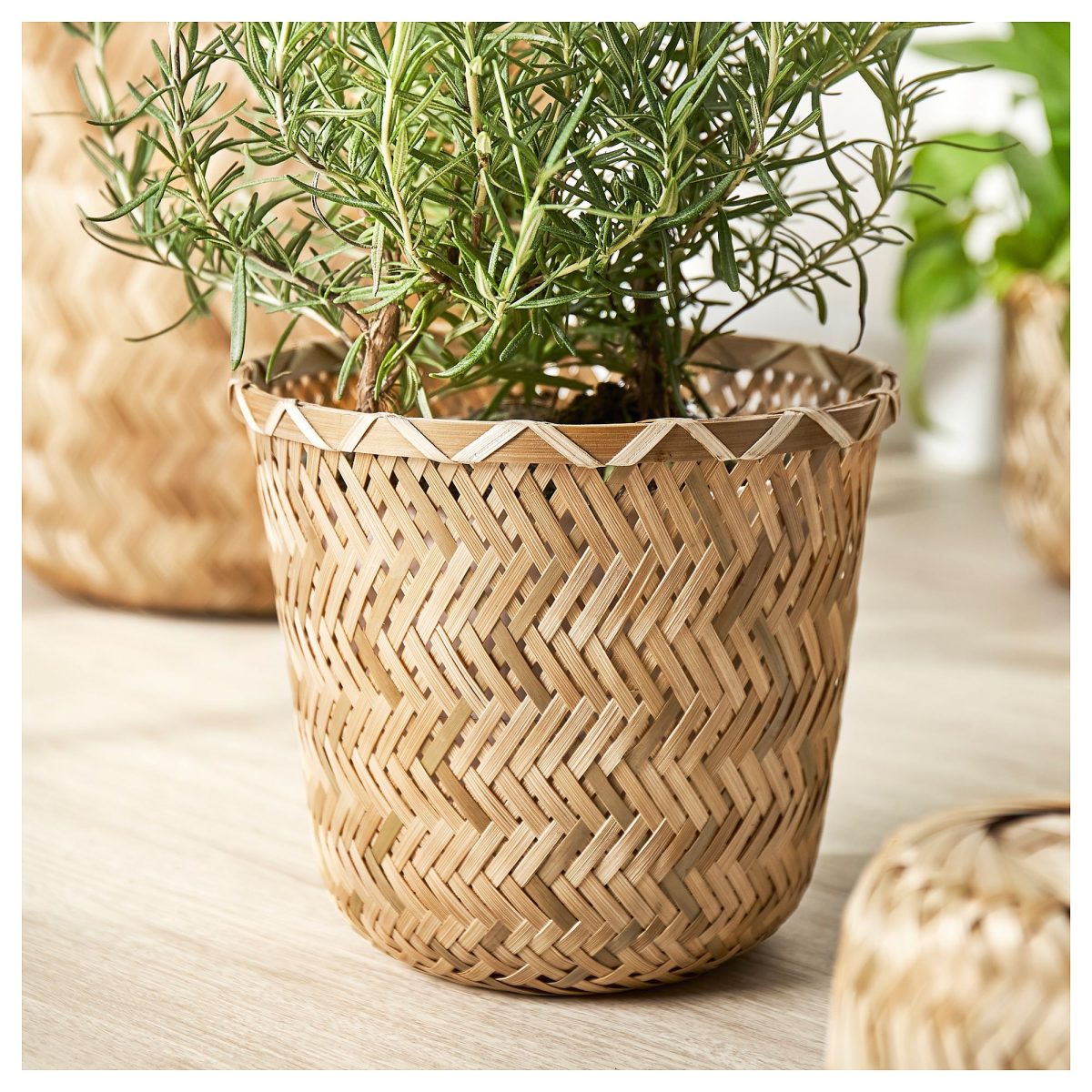 Bambu Saksı, 15 cm – 3. görsel