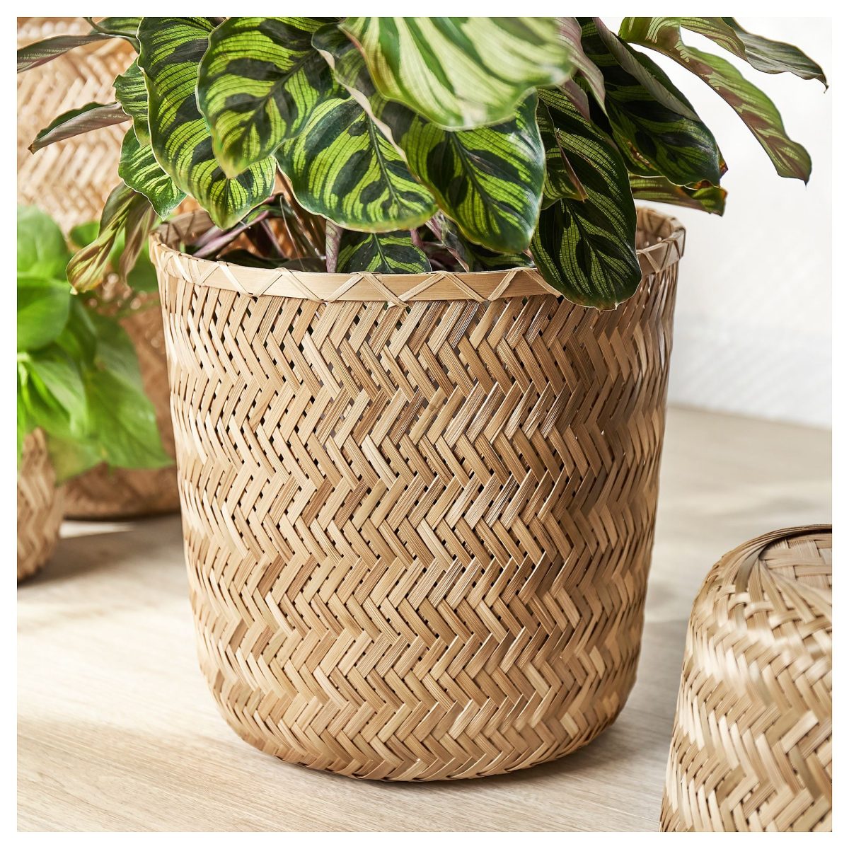 Bambu Saksı, 24 cm – 3. görsel