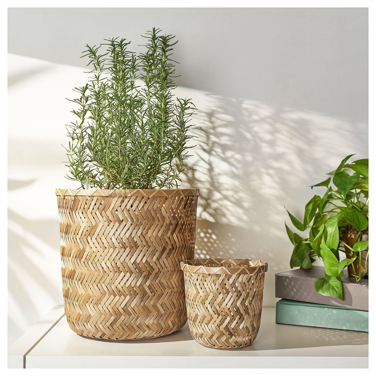 Bambu Saksı, 24 cm – 4. görsel