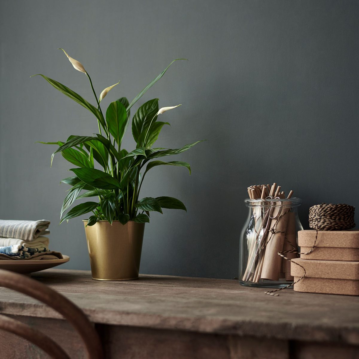 Canlı Bitki, Beyaz-Yeşil, 12 cm, Spathiphyllum Cupido – 2. görsel