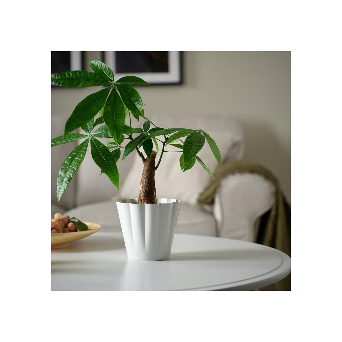Çelik Saksı, Kırık Beyaz, 12 cm, İç-Dış Mekan – 2. görsel