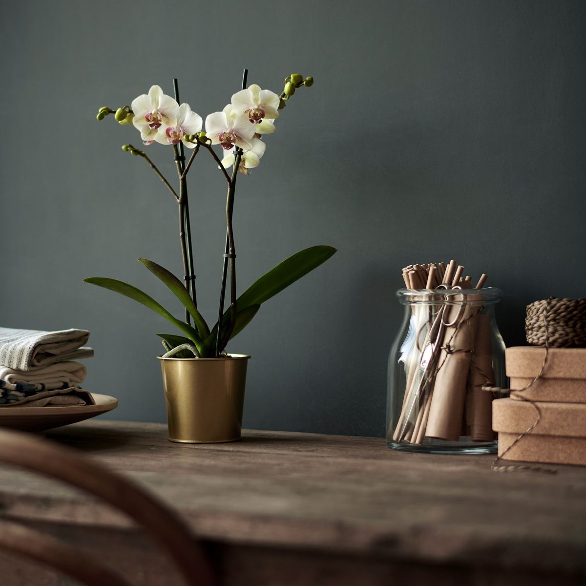 Çelik Saksı, Pirinç Rengi, 9 cm – 2. görsel