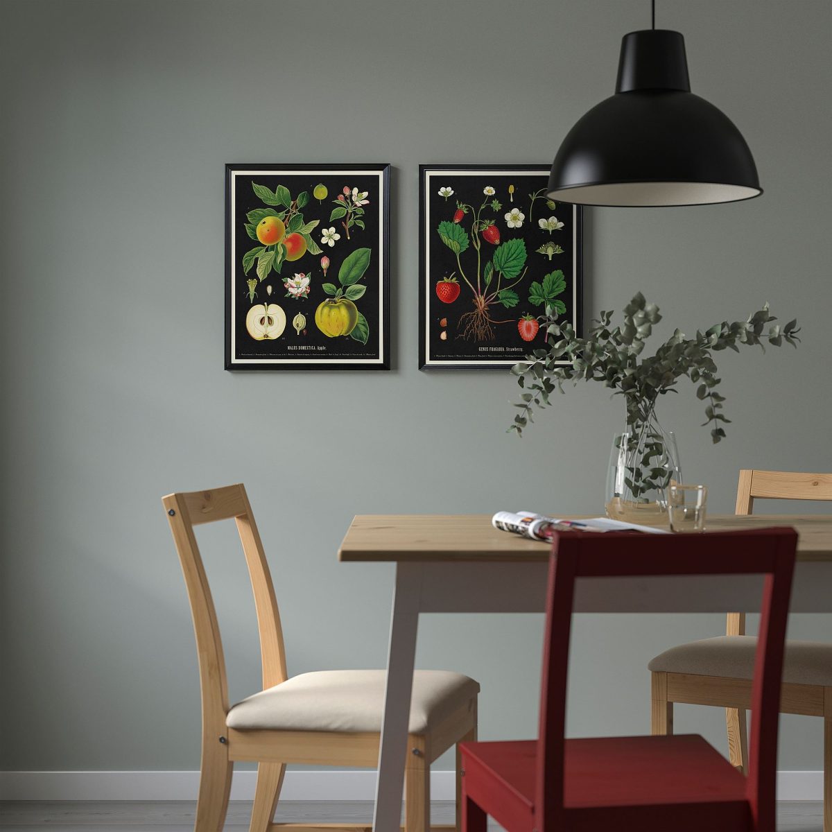 Çerçeveli Resim, Eski̇ Botani̇k Meyve Tabloları, 40x50 cm – 4. görsel