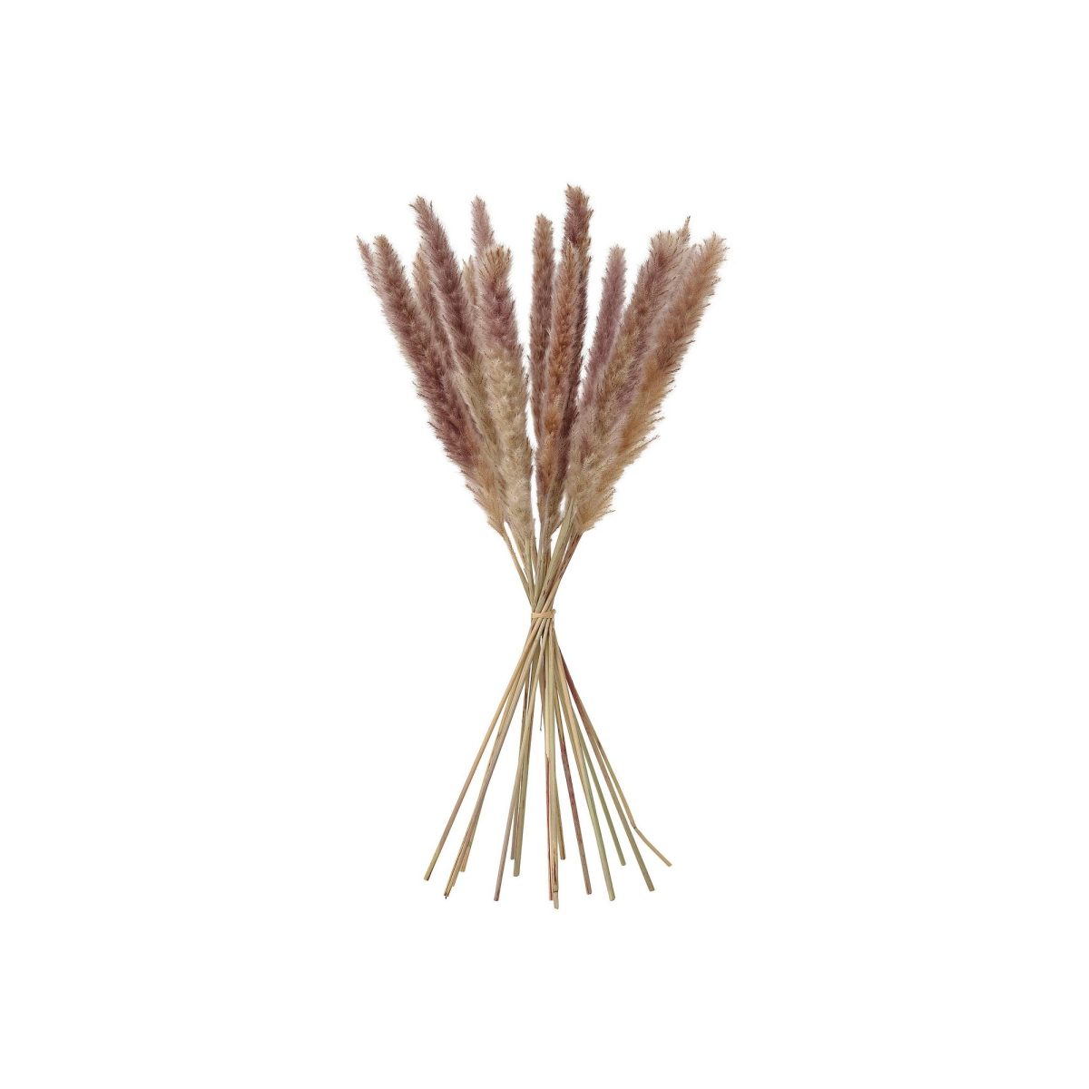 Dekoratif Kuru Buket, Kamış, 70 cm