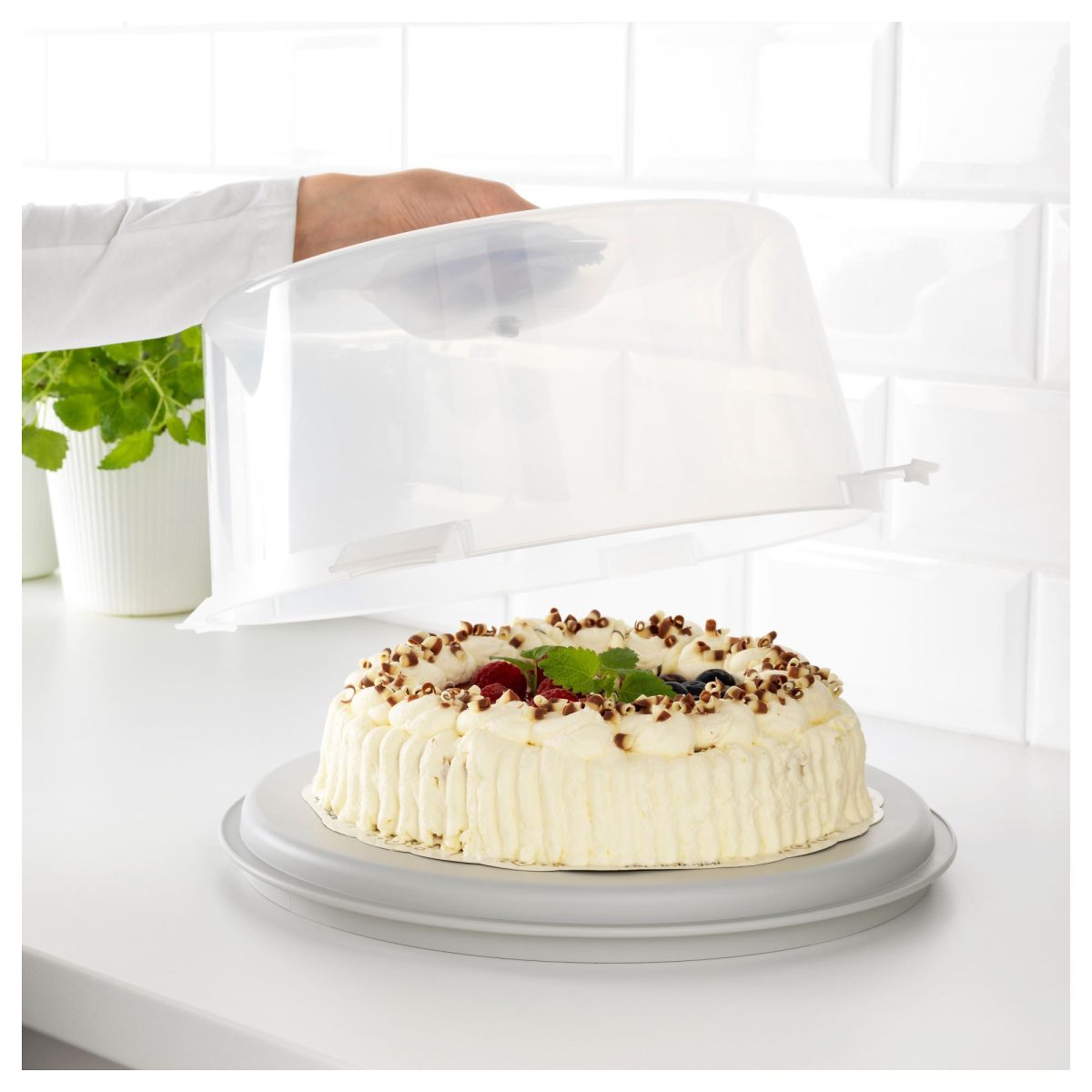 Kek Fanusu, Şeffaf, 36 cm – 2. görsel