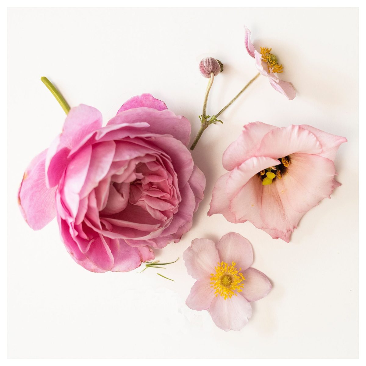 Kokulu Tealight Mum, Uçuk Pembe, 3.5 saat, Pembe Çiçekler – 3. görsel