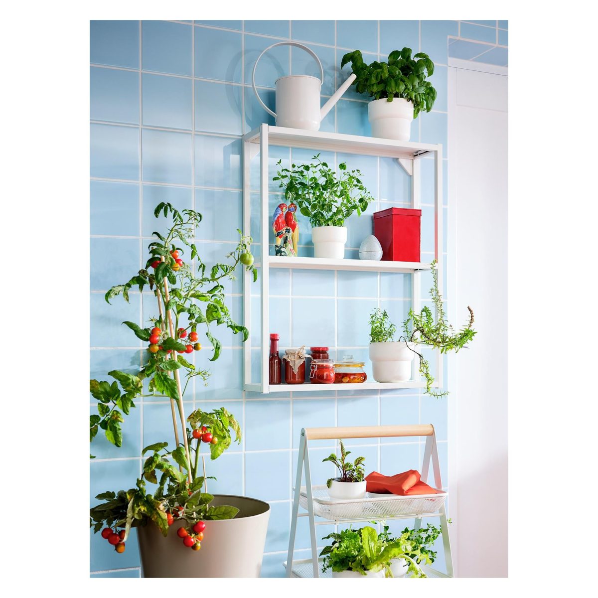 Plastik Saksı, Beyaz, 12 cm, İç/Dış Mekan – 2. görsel