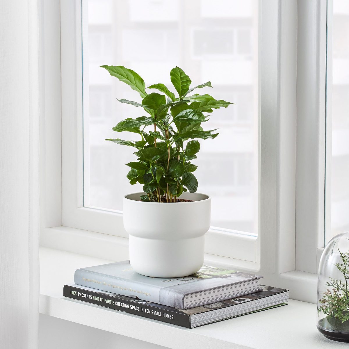 Plastik Saksı, Beyaz, 12 cm, İç/Dış Mekan – 4. görsel