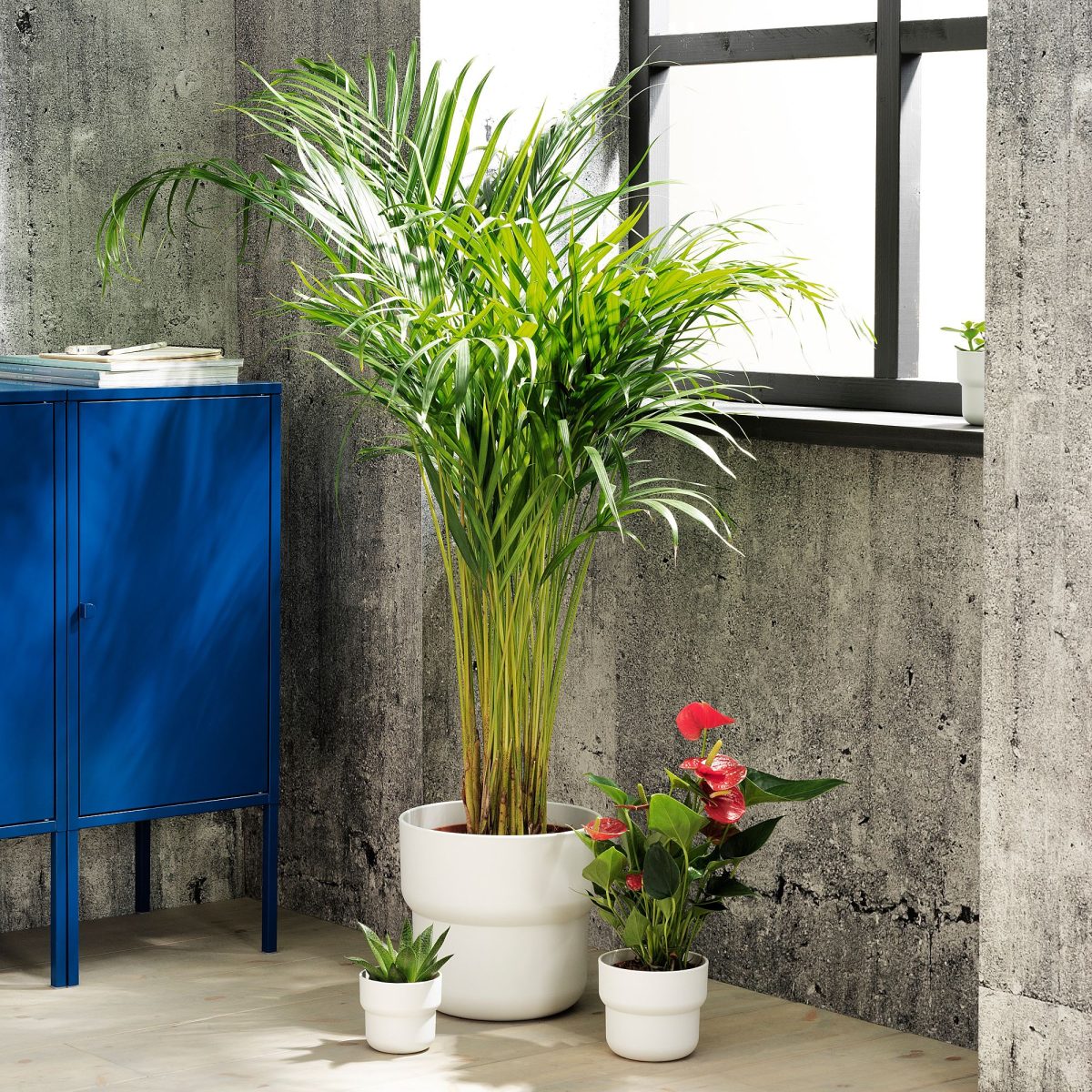 Plastik Saksı, Beyaz, 24 cm – 3. görsel