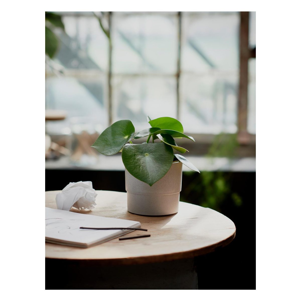 Plastik Saksı, Gri, 12 cm – 2. görsel