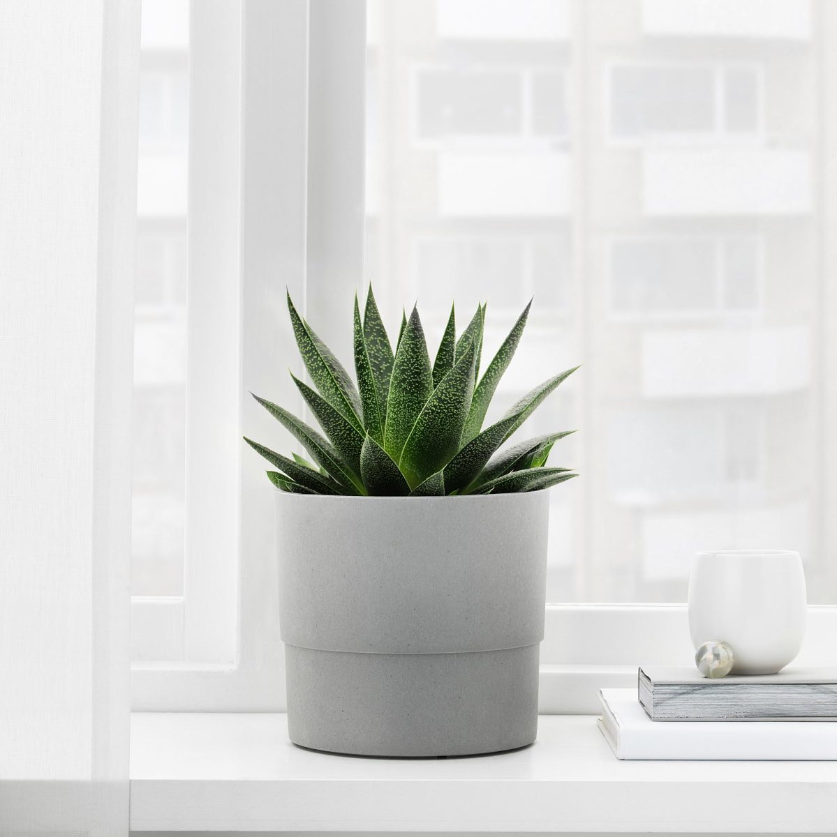 Plastik Saksı, Gri, 15 cm – 2. görsel