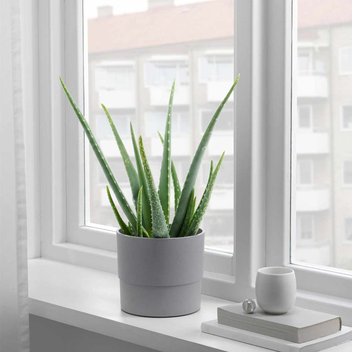 Plastik Saksı, Gri, 15 cm – 3. görsel
