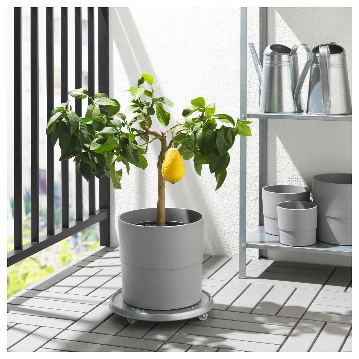 Plastik Saksı, Gri, 24 cm – 4. görsel