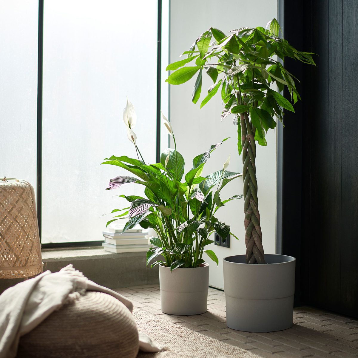 Plastik Saksı, Gri, 32 cm – 3. görsel
