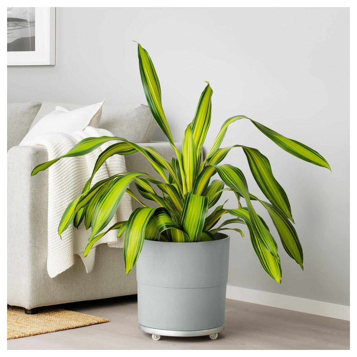Plastik Saksı, Gri, 32 cm – 4. görsel