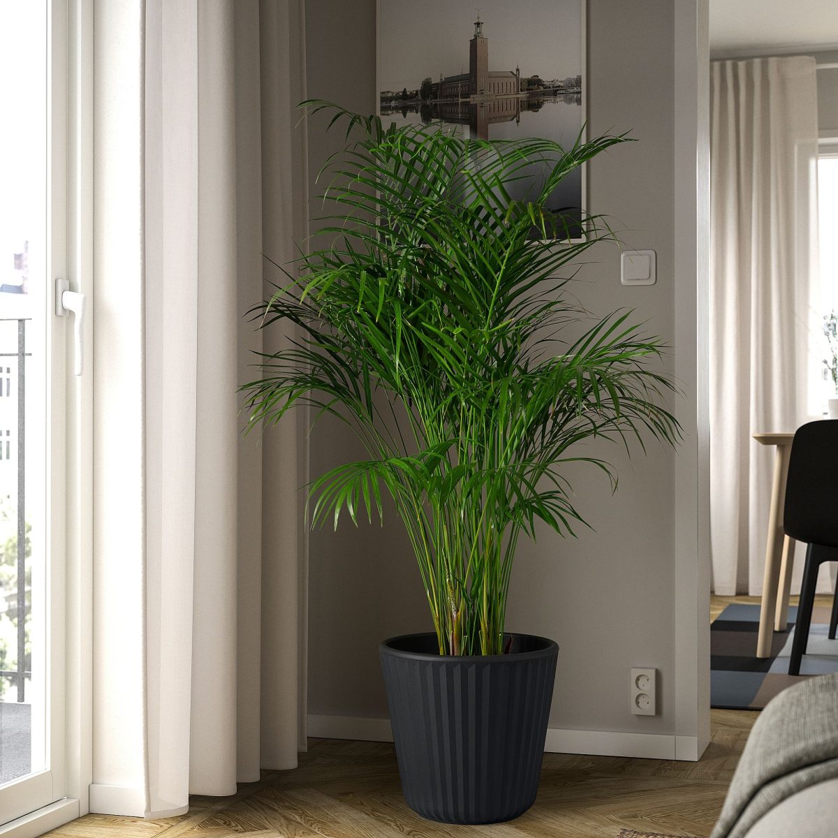 Plastik Saksı, Koyu Gri, 32 cm, Dış Mekan için Uygundur – 3. görsel