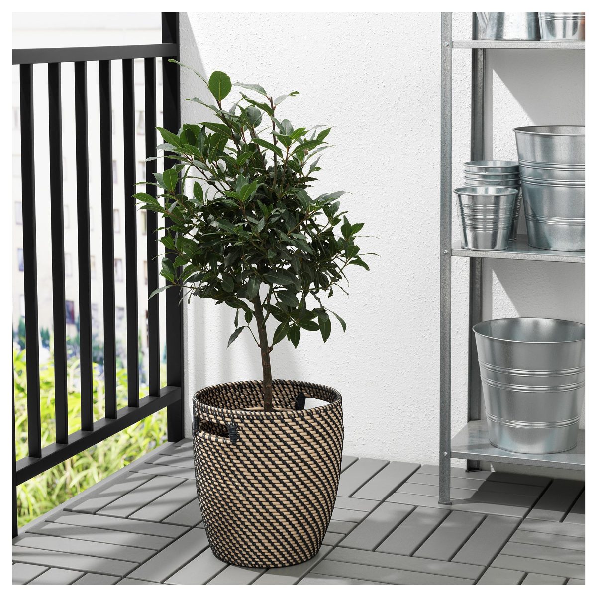 Plastik Saksı, Natürel, 24 cm – 2. görsel