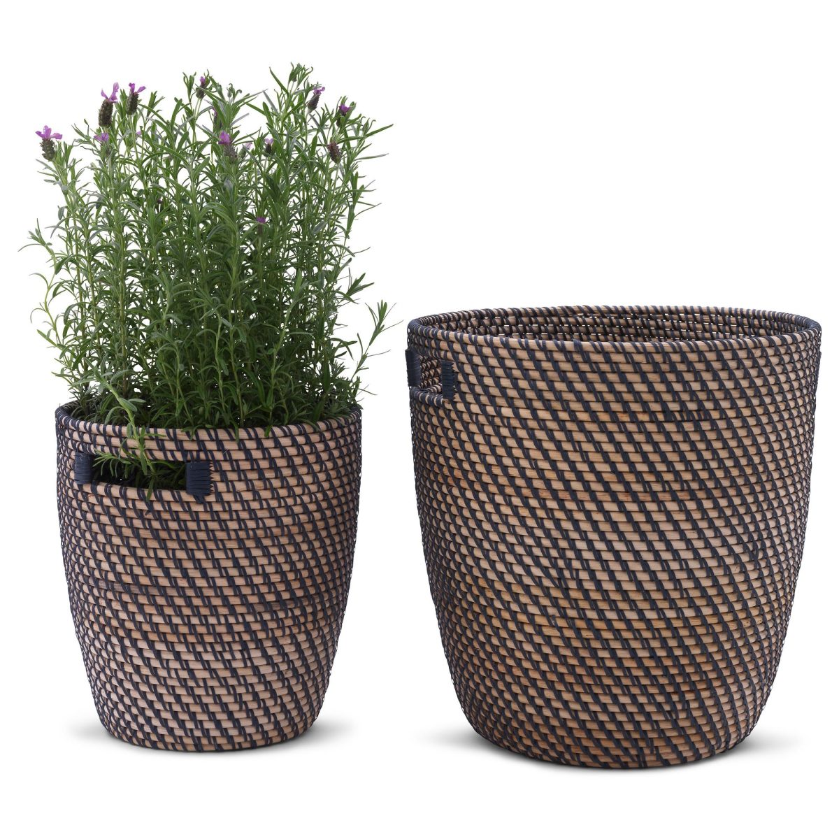 Plastik Saksı, Natürel, 24 cm – 4. görsel