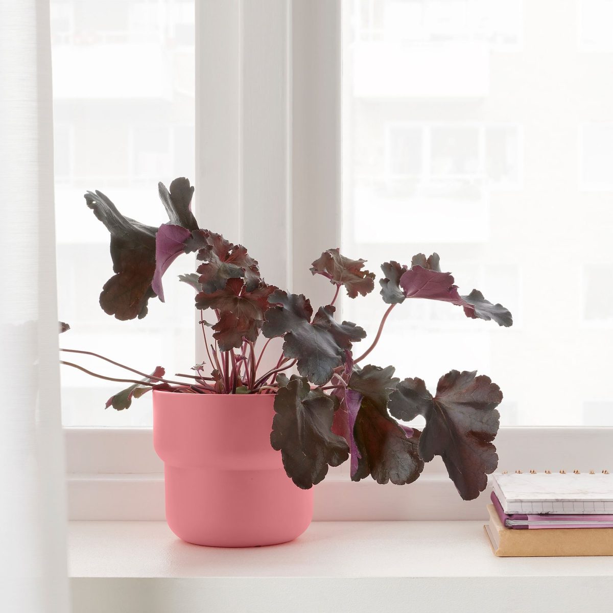 Plastik Saksı, Pembe, 12 cm, İç/Dış Mekan – 2. görsel