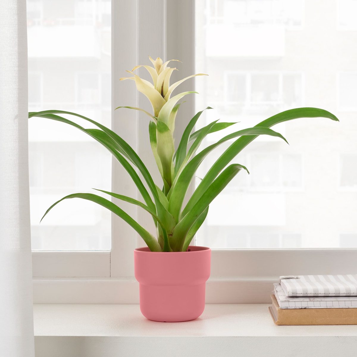 Plastik Saksı, Pembe, 9 cm, İç/Dış Mekan – 2. görsel