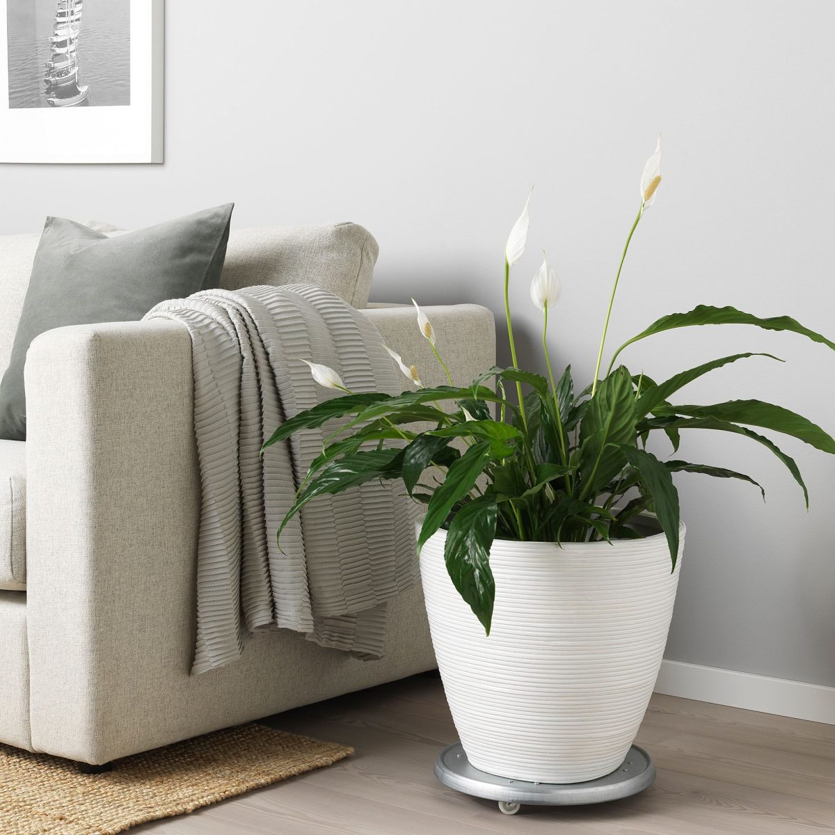 Plastik Saksı, Rattan, 24 cm – 2. görsel