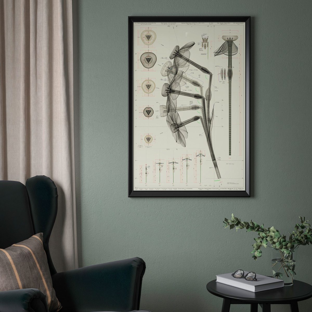 Poster, Çok Renkli, 61x91 cm, Narcissus Tazetta – 2. görsel