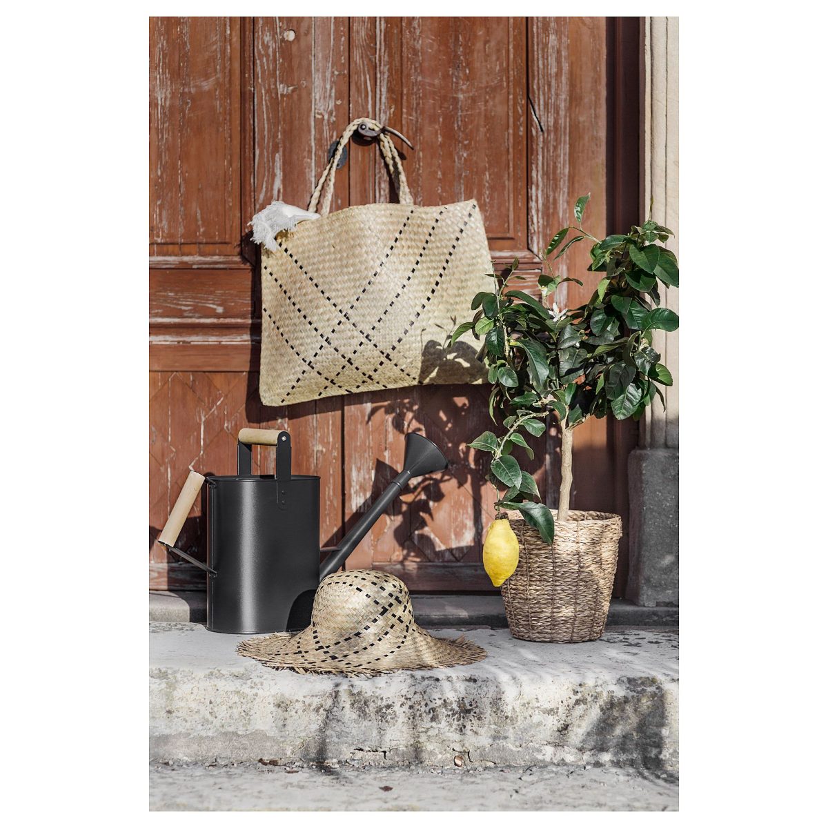 Rattan Saksı, Deniz Sazı, 19 cm – 2. görsel