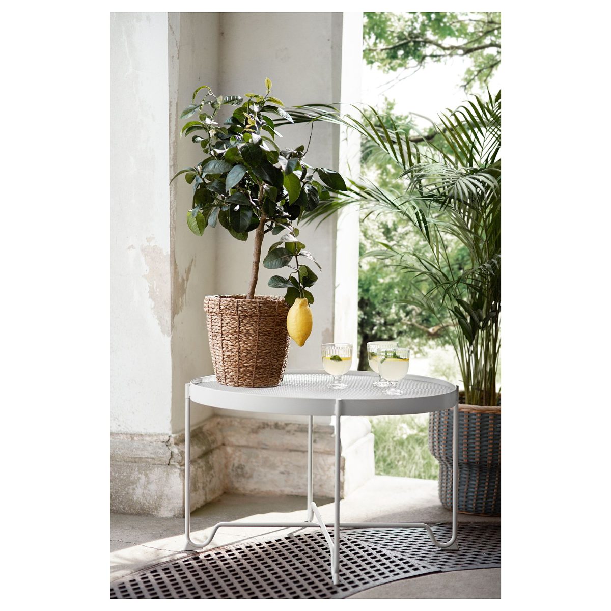 Rattan Saksı, Deniz Sazı, 19 cm – 3. görsel