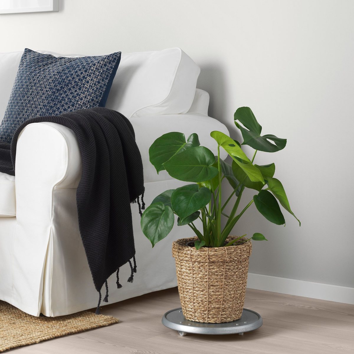 Rattan Saksı, Deniz Sazı, 19 cm – 4. görsel