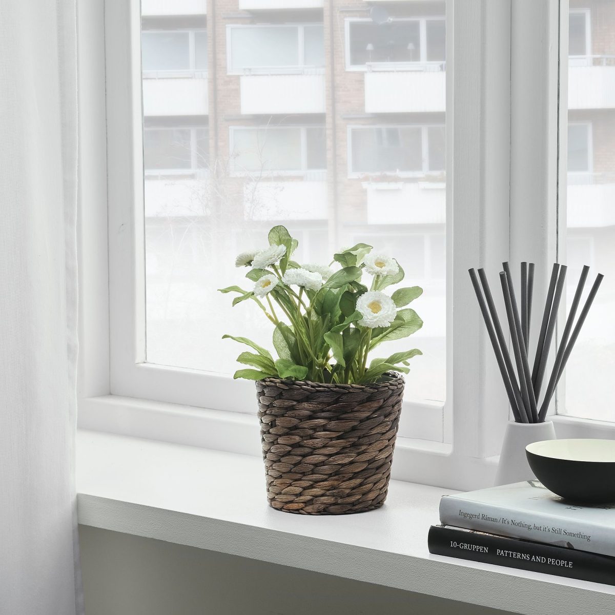 Rattan Saksı, Su Sümbülü, 12 cm – 2. görsel