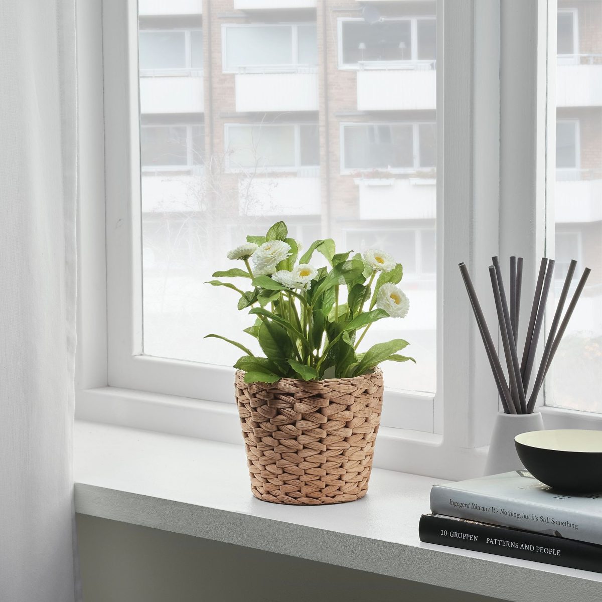 Rattan Saksı, Su Sümbülü, 12 cm – 4. görsel