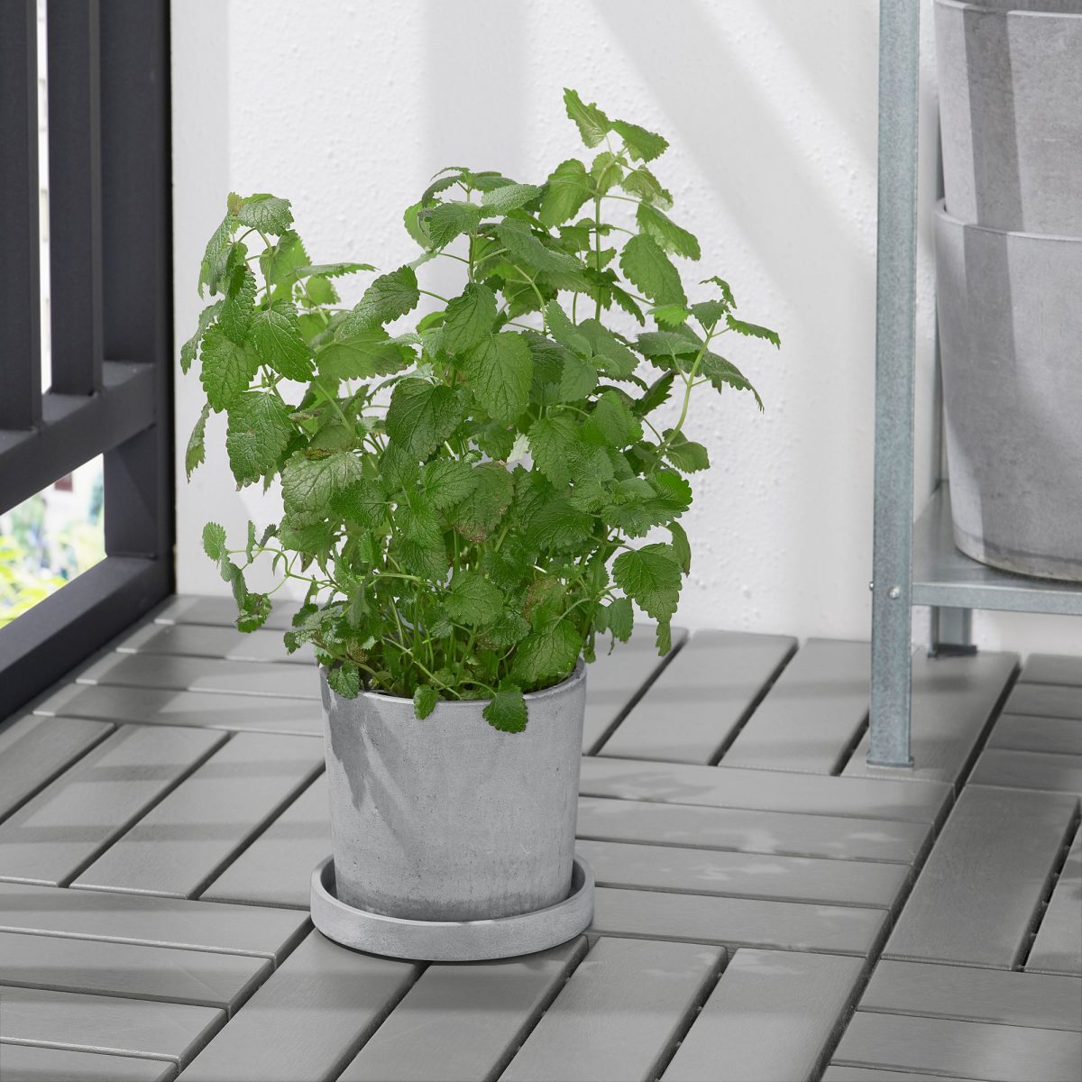 Saksı Altlığı, Açık Gri, 15 cm – 2. görsel