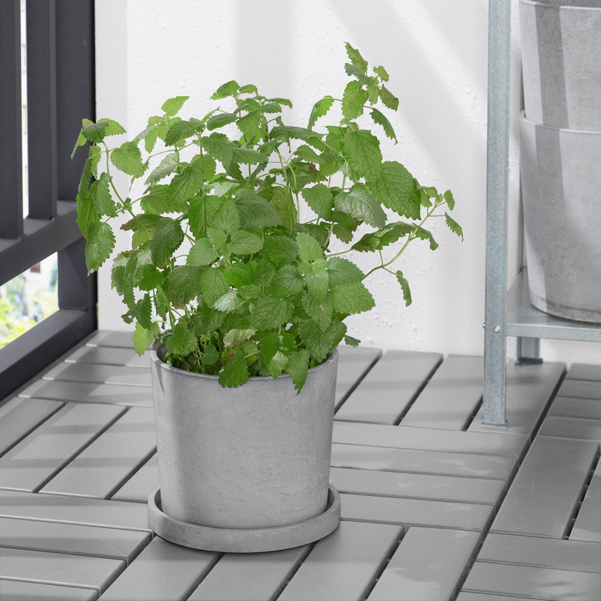 Saksı Altlığı, Açık Gri, 19 cm – 2. görsel