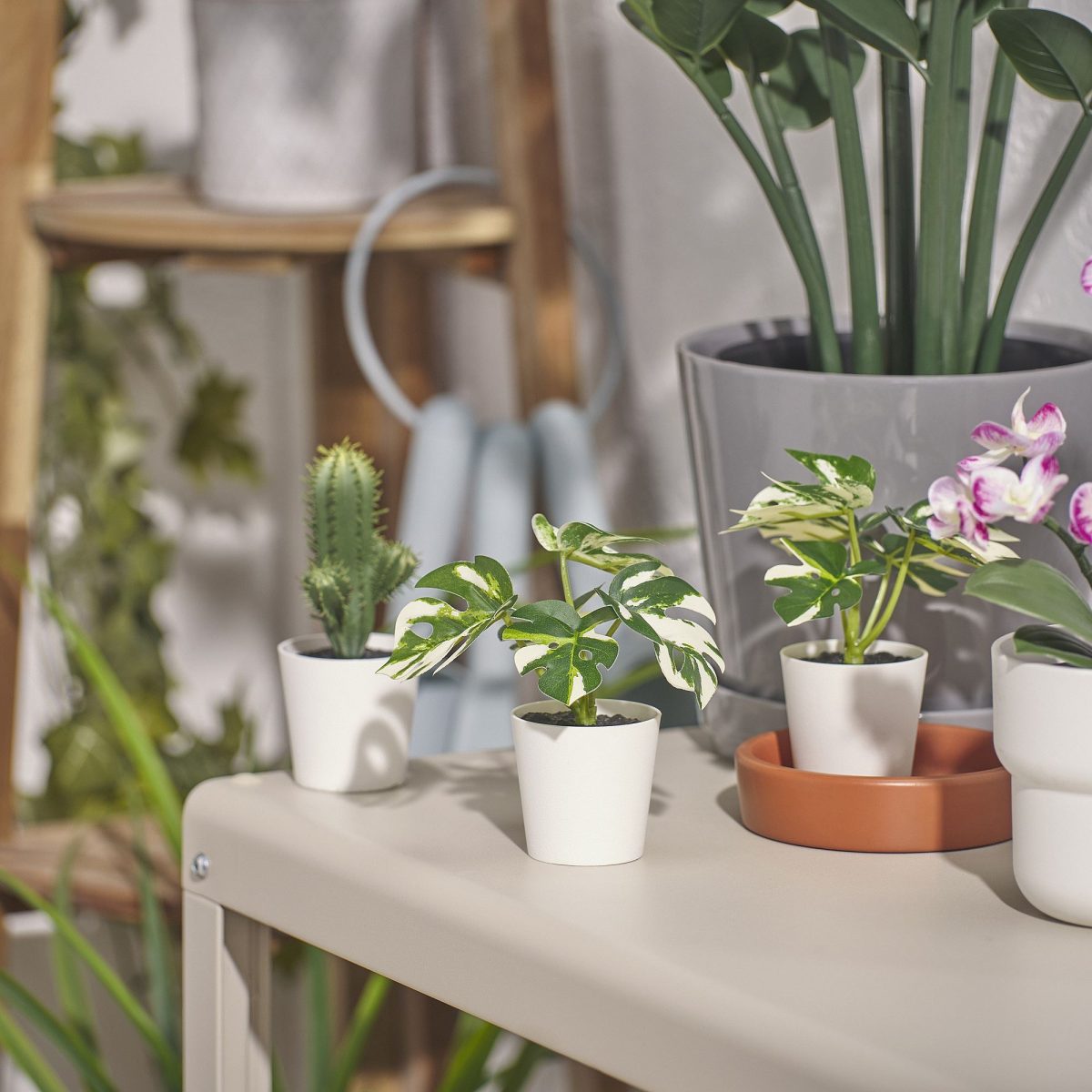 Saksılı Yapay Bitki, Yeşil, 6 cm, Monstera – 2. görsel