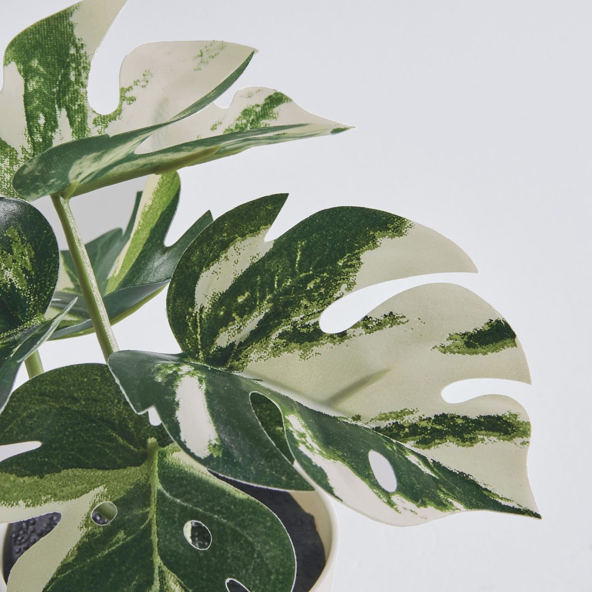 Saksılı Yapay Bitki, Yeşil, 6 cm, Monstera – 3. görsel