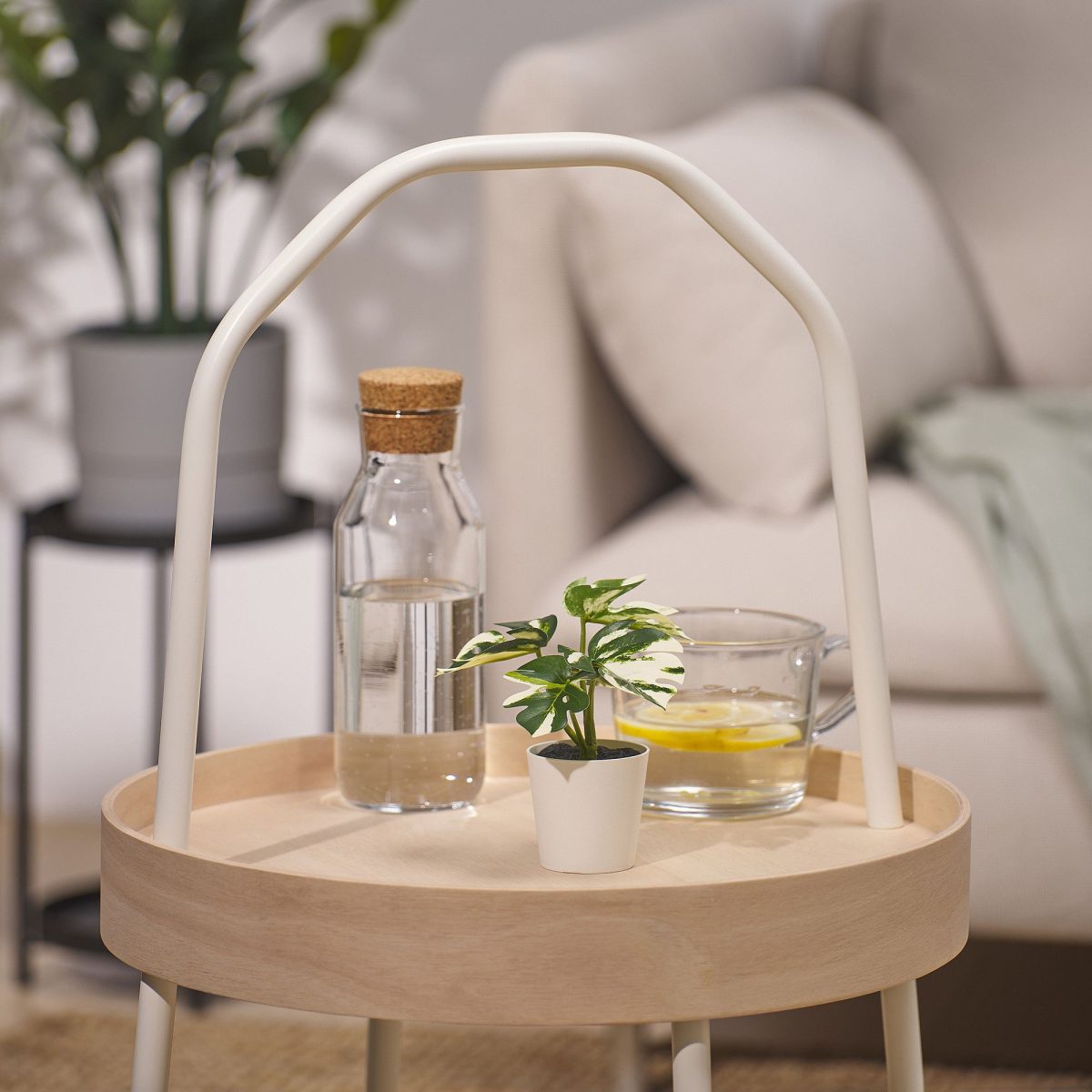 Saksılı Yapay Bitki, Yeşil, 6 cm, Monstera – 4. görsel