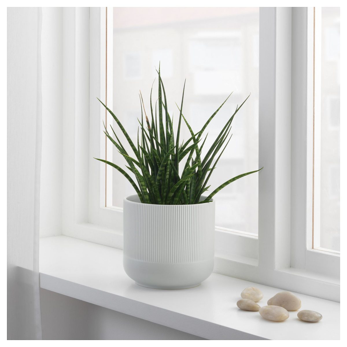 Seramik Saksı, Gri, 15 cm – 4. görsel