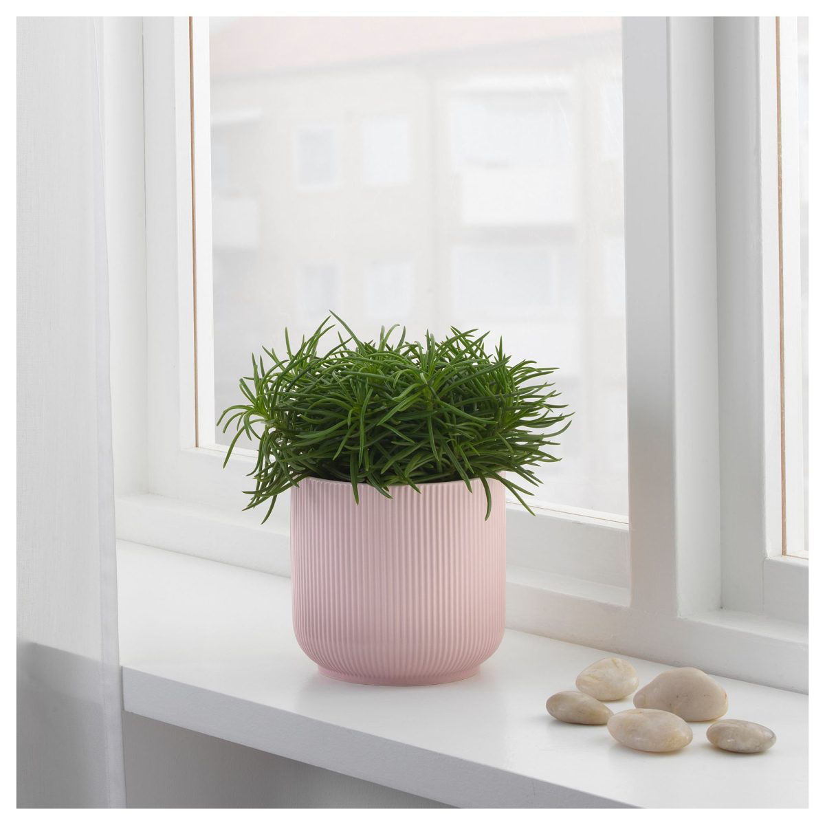 Seramik Saksı, Pembe, 12 cm – 4. görsel