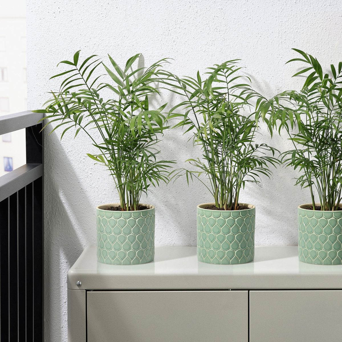 Seramik Saksı, Yeşil, 12 cm – 4. görsel