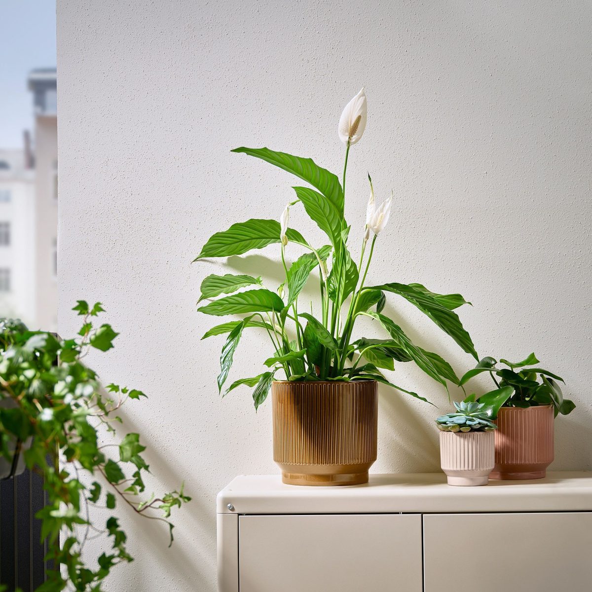 Seramik Saksı, Yeşil, 19 cm – 3. görsel