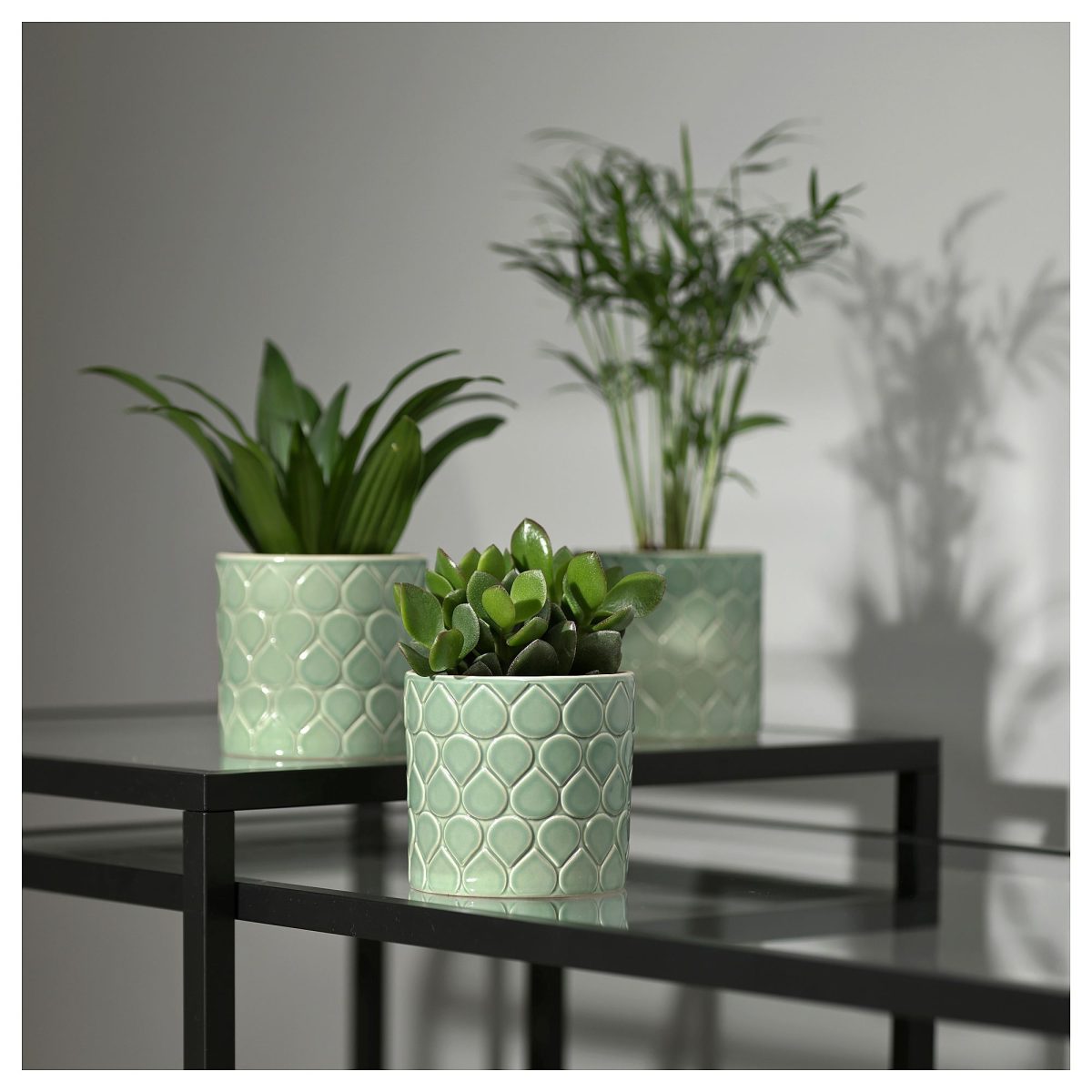 Seramik Saksı, Yeşil, 9 cm – 3. görsel