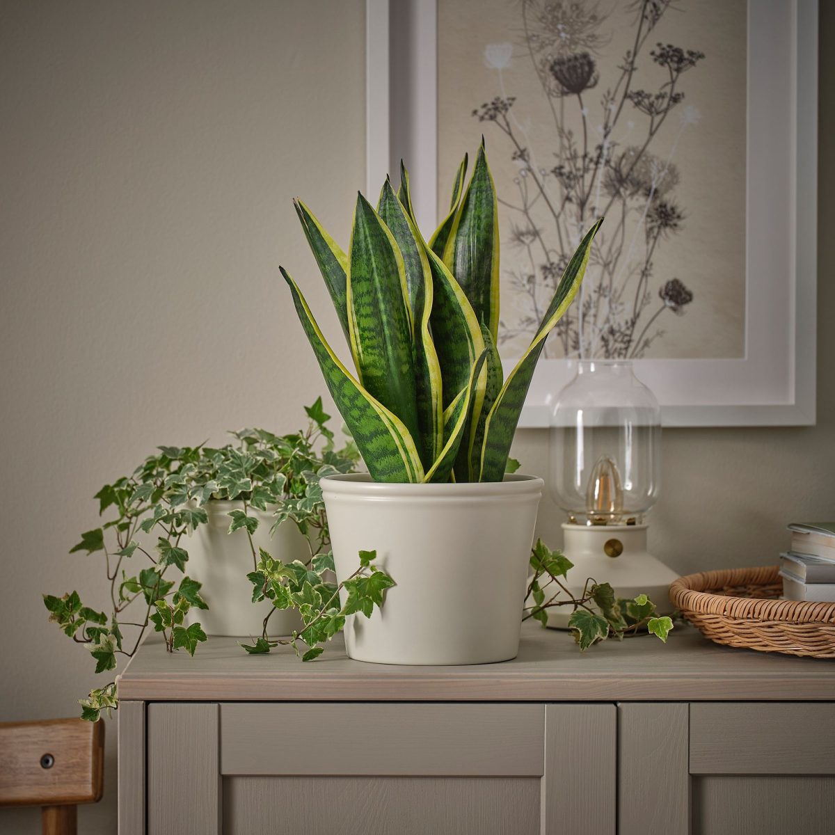 Toprak Saksı, Açık Gri-Bej, 15 cm – 3. görsel