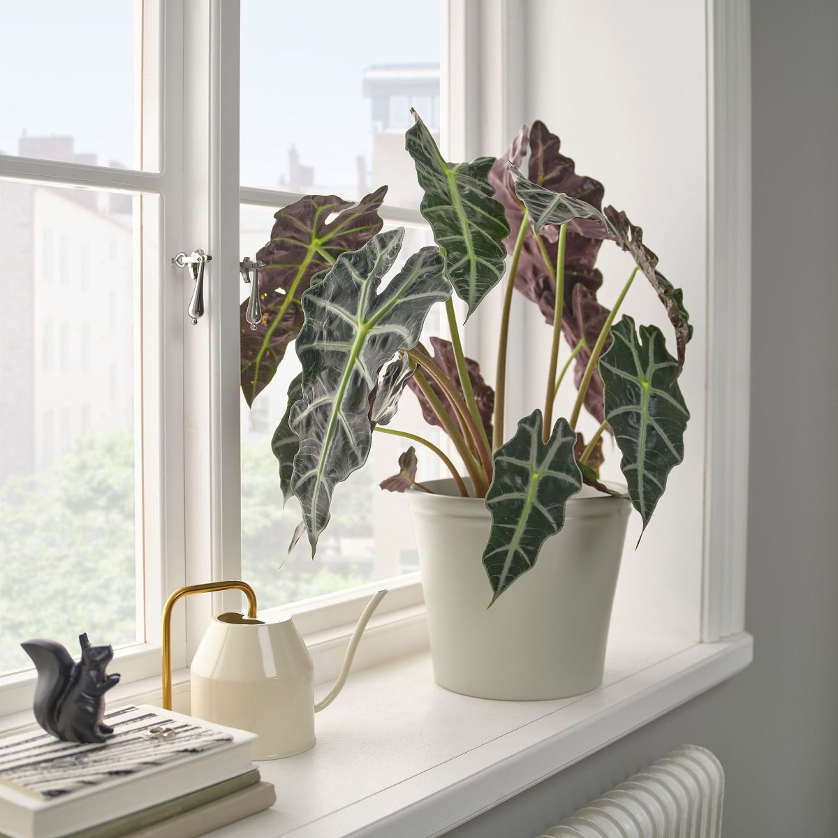 Toprak Saksı, Açık Gri-Bej, 19 cm – 2. görsel