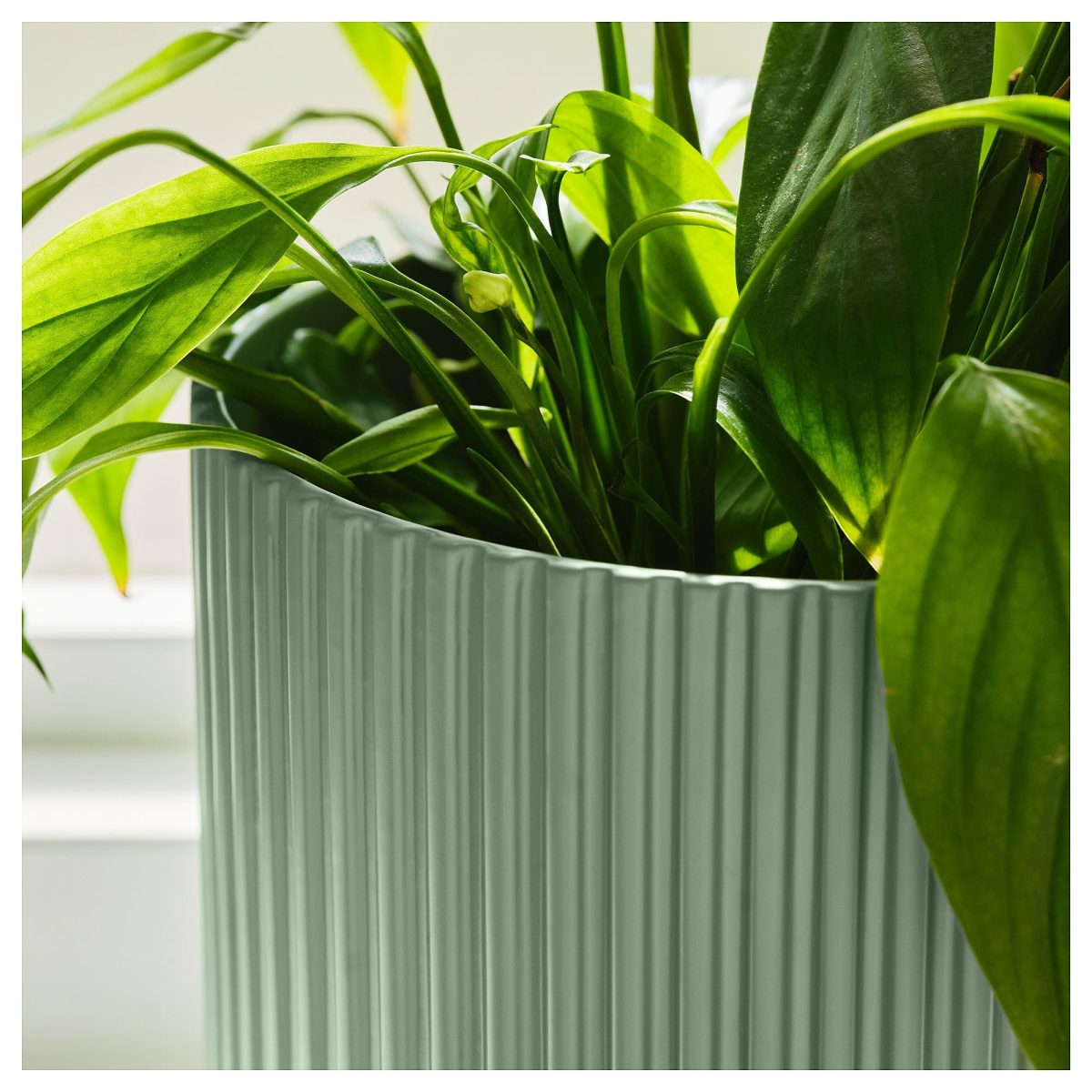 Toprak Saksı, Açık Yeşil, 15 cm – 3. görsel