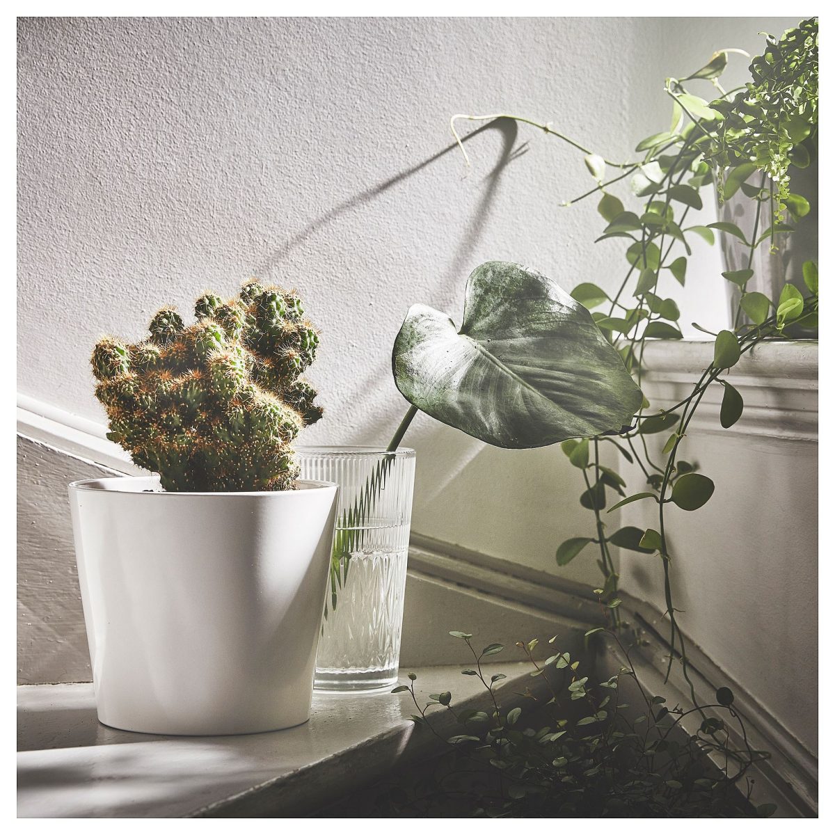Toprak Saksı, Beyaz, 15 cm, İç Mekan – 2. görsel