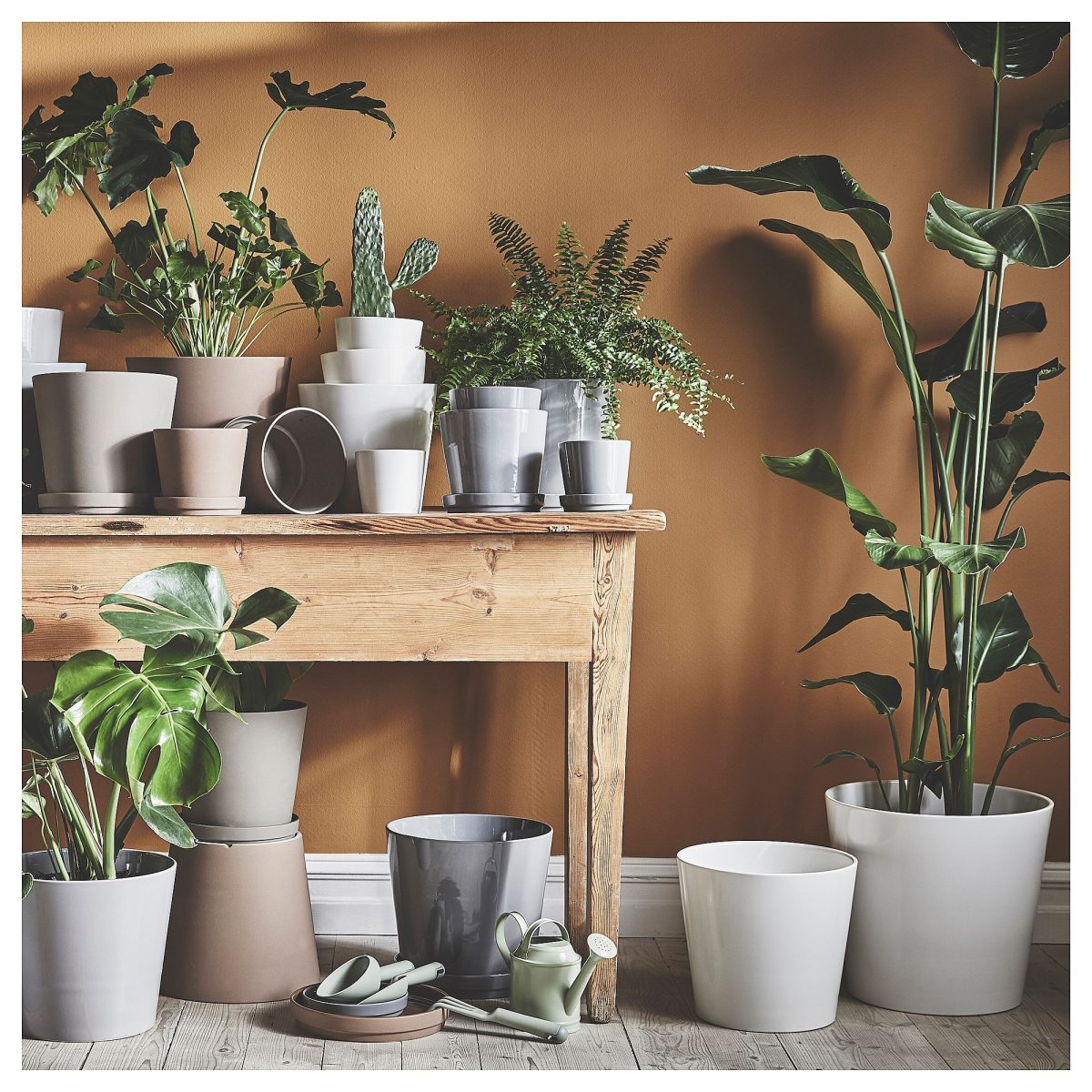 Toprak Saksı, Beyaz, 19 cm, İç Mekan – 4. görsel