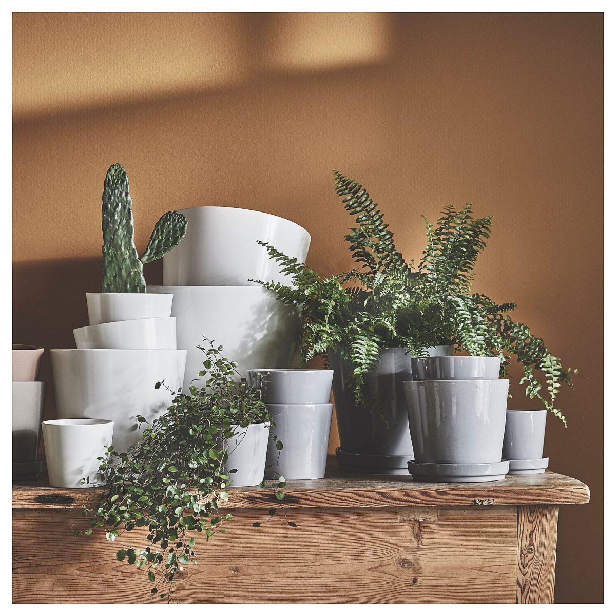 Toprak Saksı, Beyaz, 24 cm, İç Mekan – 4. görsel