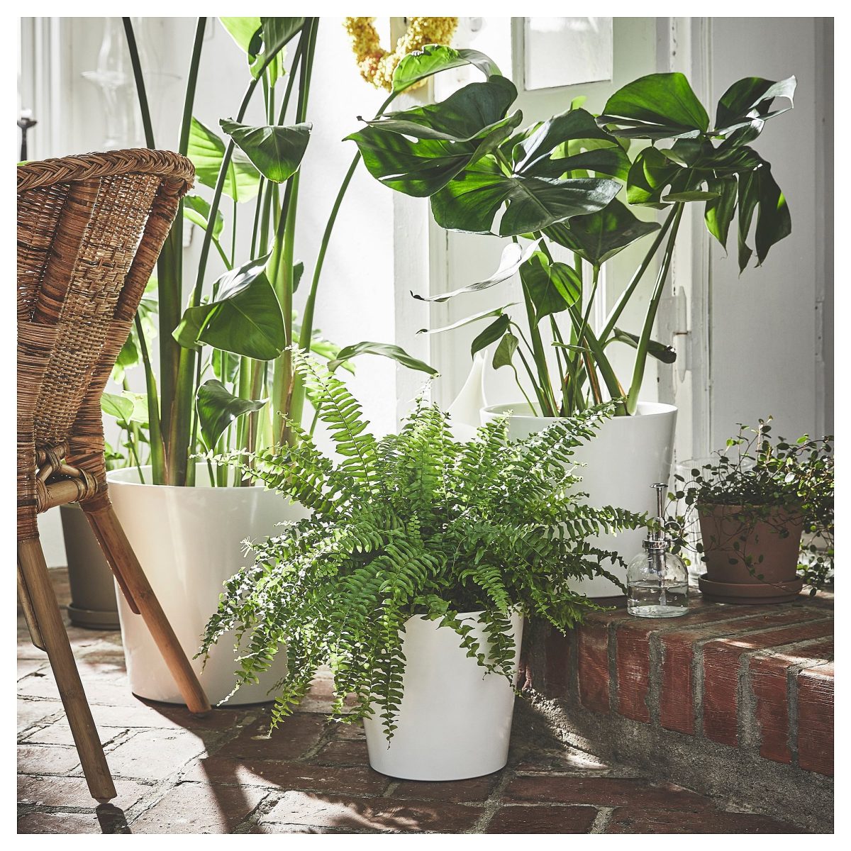 Toprak Saksı, Beyaz, 32 cm, İç Mekan – 2. görsel
