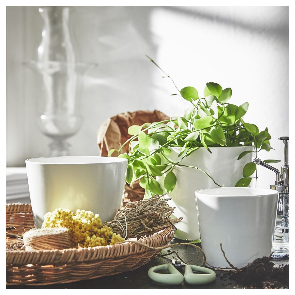 Toprak Saksı, Beyaz, 9 cm, İç Mekan – 2. görsel