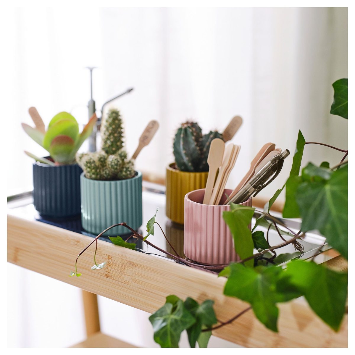 Toprak Saksı, Karışık Renkler, 6 cm, 4 adet – 2. görsel